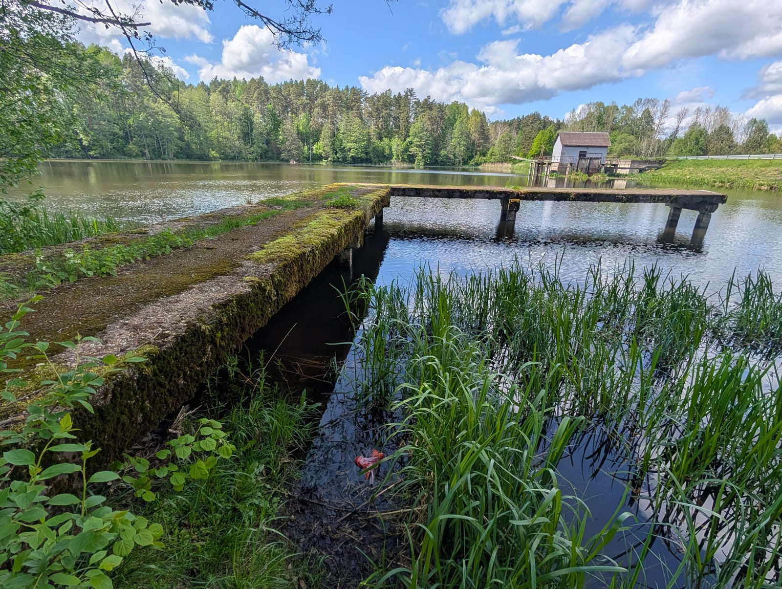 Krūminių paplūdimio liepto būklė dabar